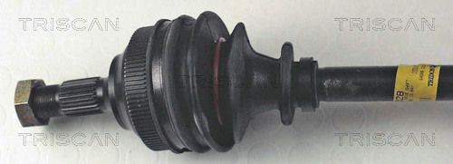 854038528_2.JPG