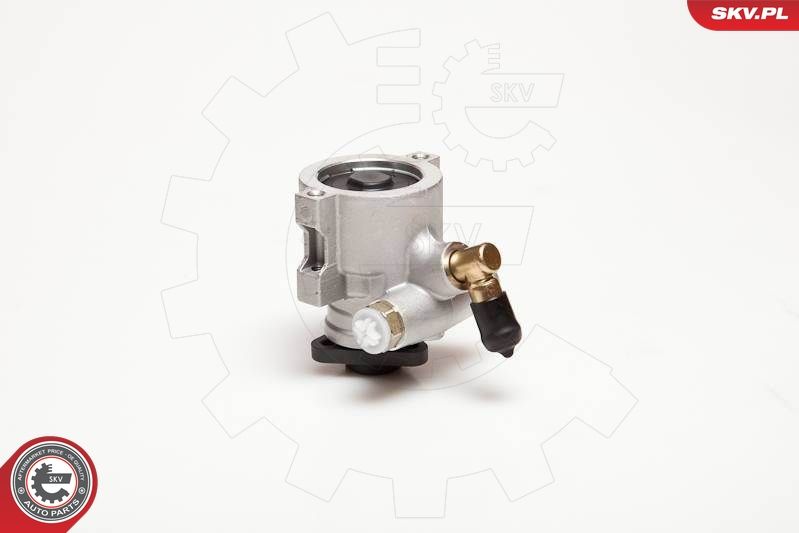 ESEN SKV 10SKV053 Hydraulic Pump, steering