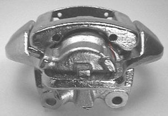 423501.JPG