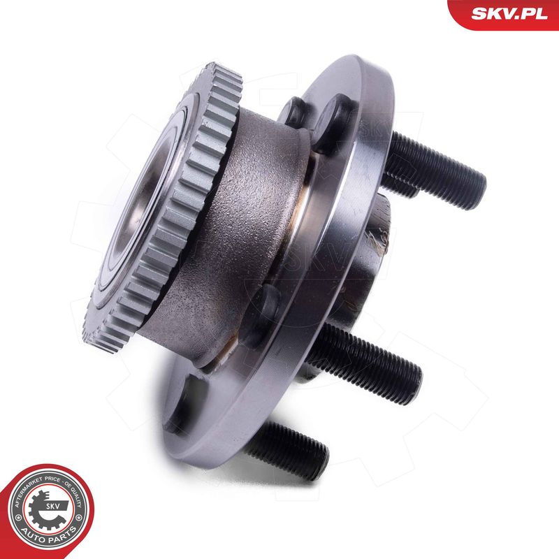 ESEN SKV 29SKV593 Wheel Bearing Kit