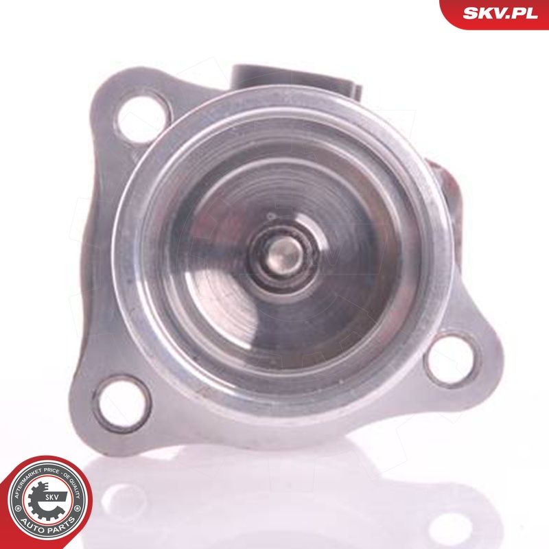 EGR-klapp, ESEN SKV 14SKV011