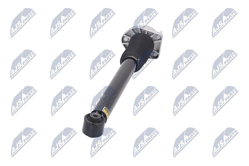 Amort, NTY A-LR-015