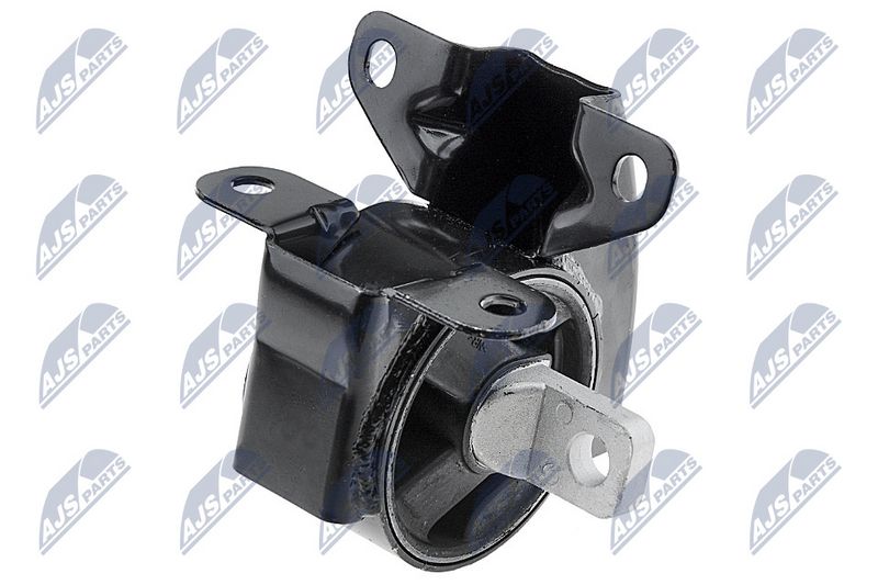 Paigutus, Mootor, NTY ZPS-CH-095