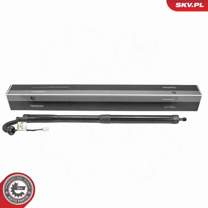 ESEN SKV 52SKV296 - Electric Motor, tailgate