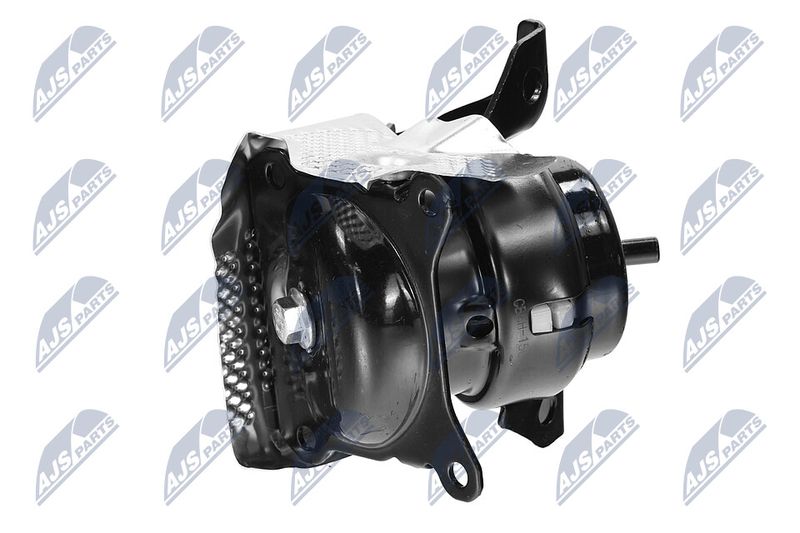 Paigutus, Mootor, NTY ZPS-CH-150