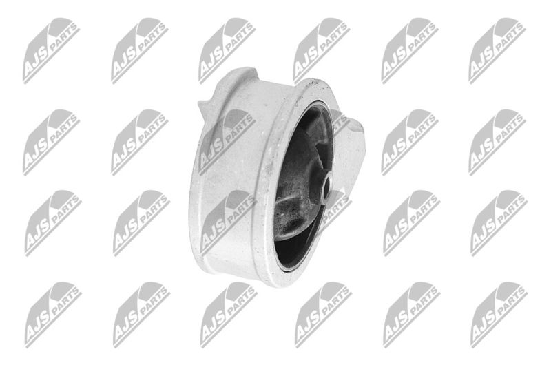 Paigutus, Mootor, NTY ZPS-HY-508