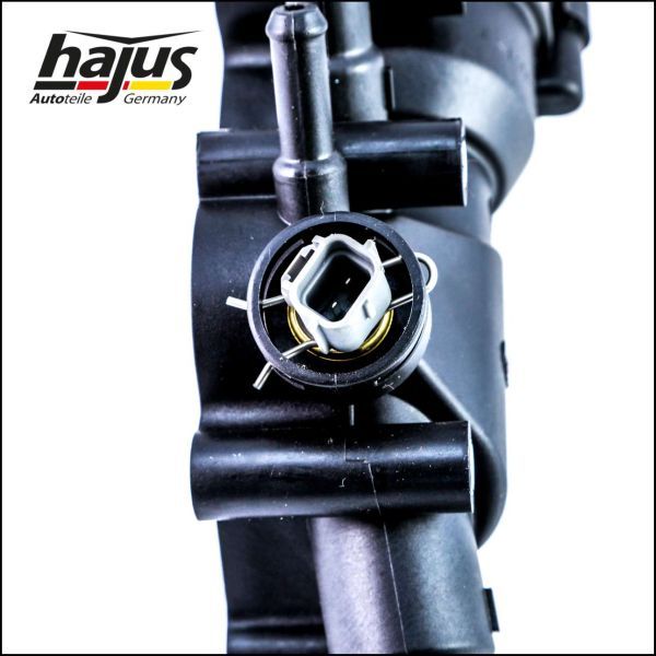 hajus Autoteile 1211169 Thermostat, coolant