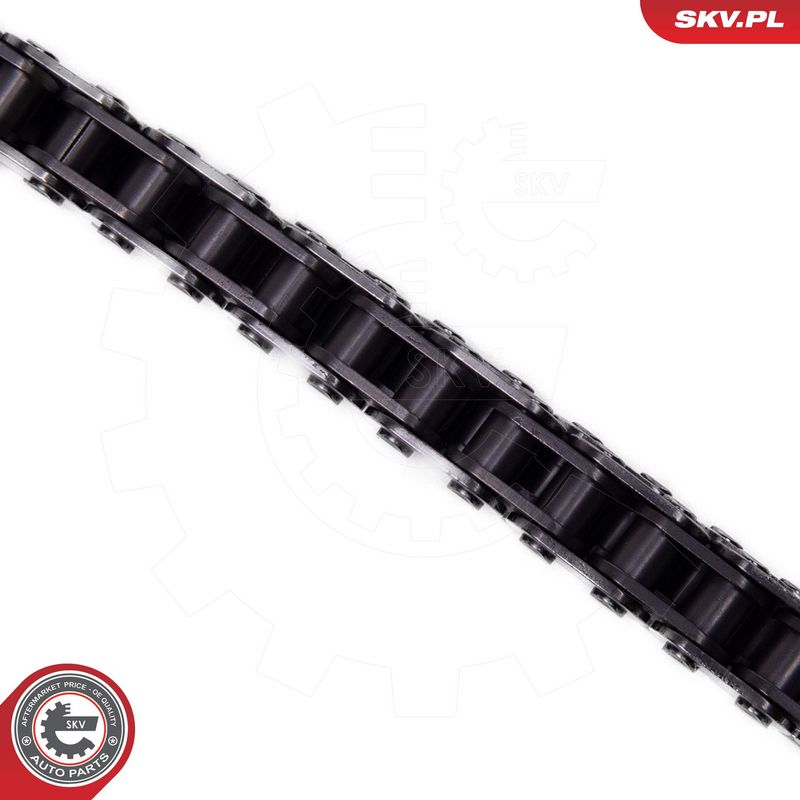 Mootori keti komplekt, ESEN SKV 21SKV269