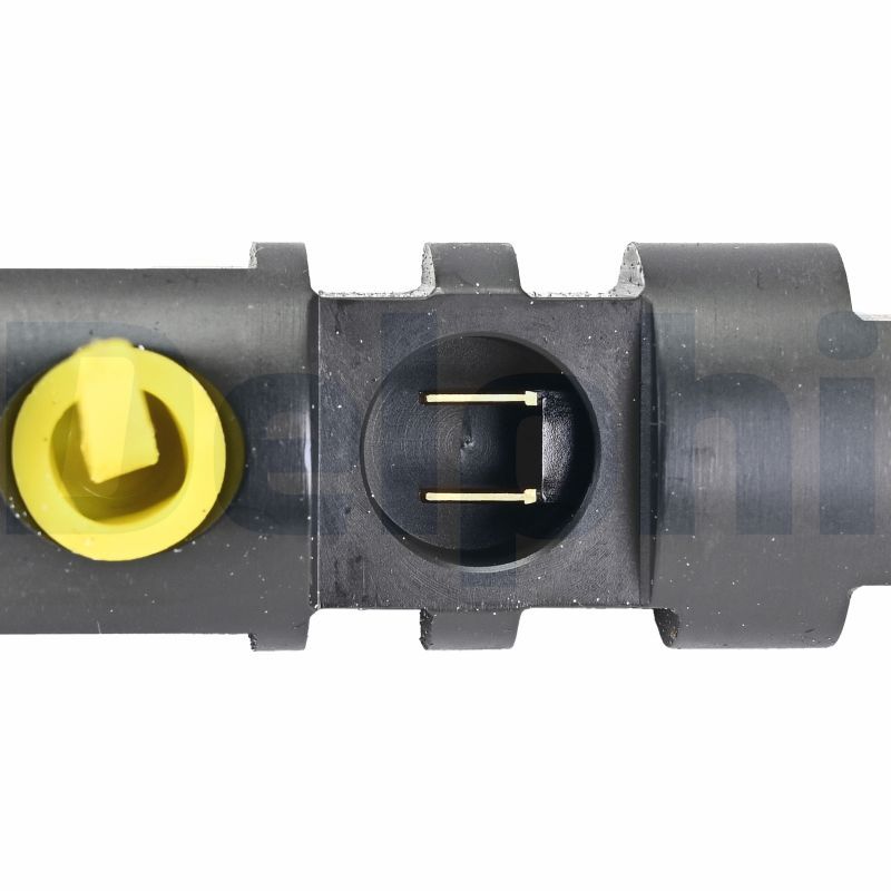 DELPHI R04201D-12B1 Injector