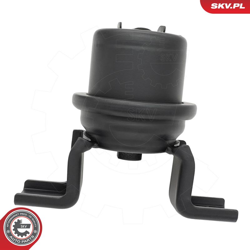 Paigutus, Mootor, ESEN SKV...