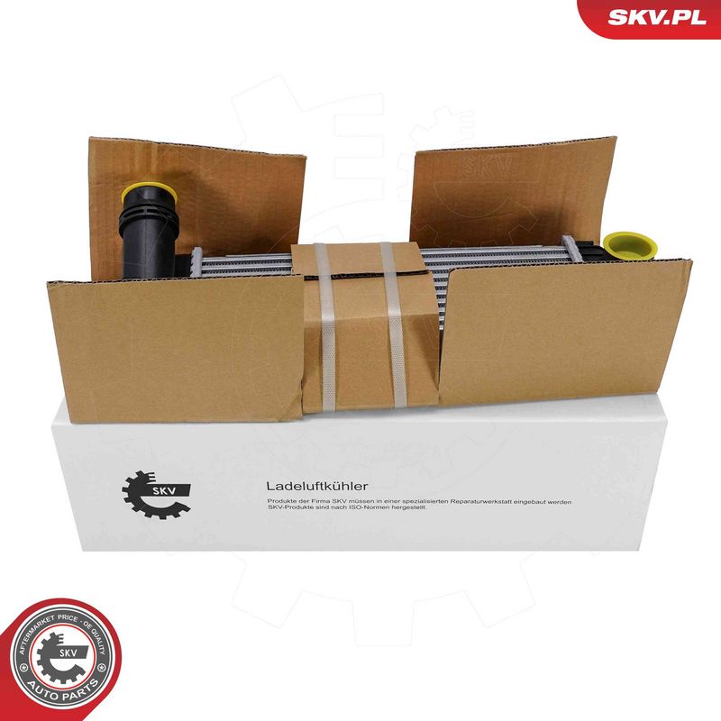 Prekė atitinka OEM kodą: 144961489R