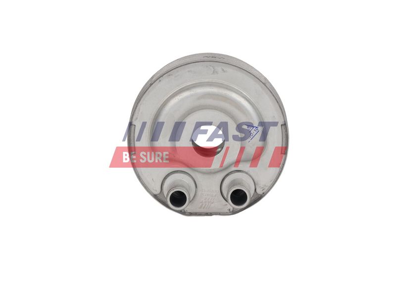OEM код товара: 213055M300