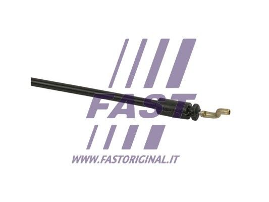 FT73702_3_1.JPG