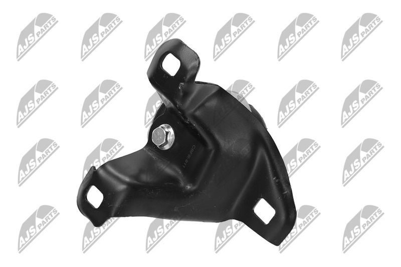 Paigutus, Mootor, NTY ZPS-FR-011