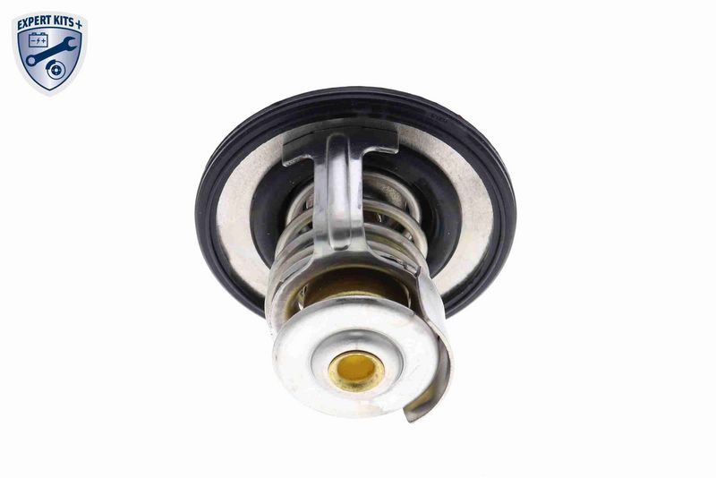 ACKOJA A54-99-0003 Thermostat, coolant