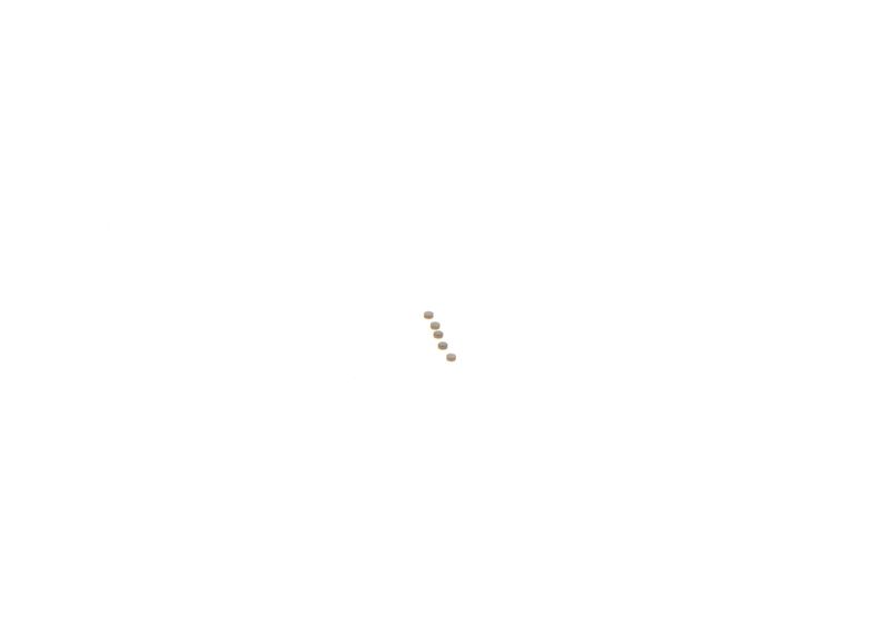 BOSCH F00ZC99723 Repair Kit, common rail system
