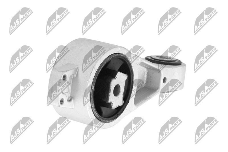 Paigutus, Mootor, NTY ZPS-CH-056