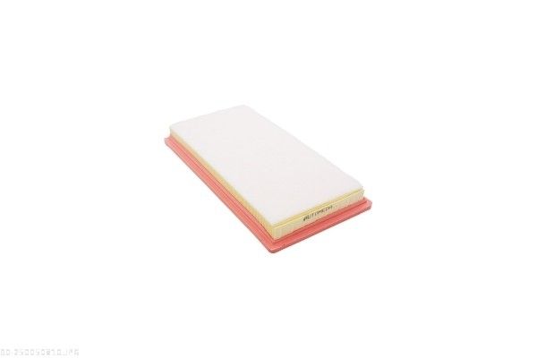 AUTOMEGA 250050810 Air Filter