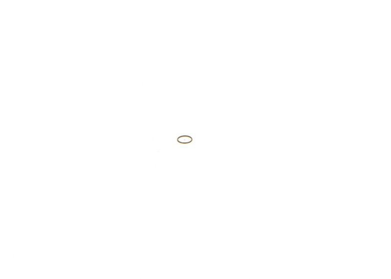 BOSCH 1 410 227 001 Seal Ring