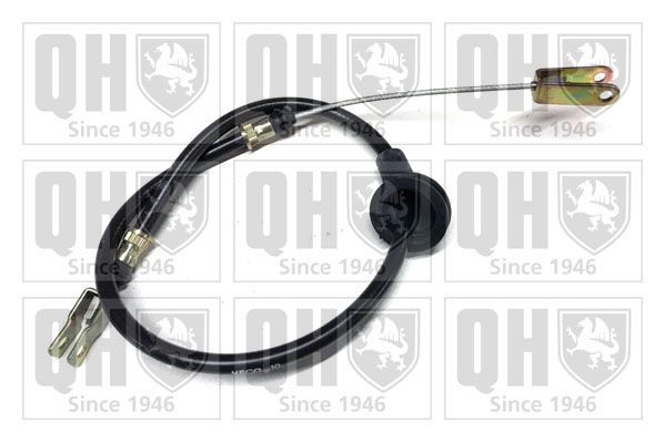 QH_BC2358.JPG
