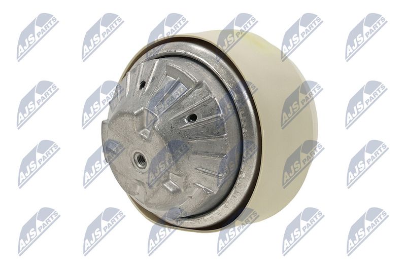 Paigutus, Mootor, NTY ZPS-ME-101