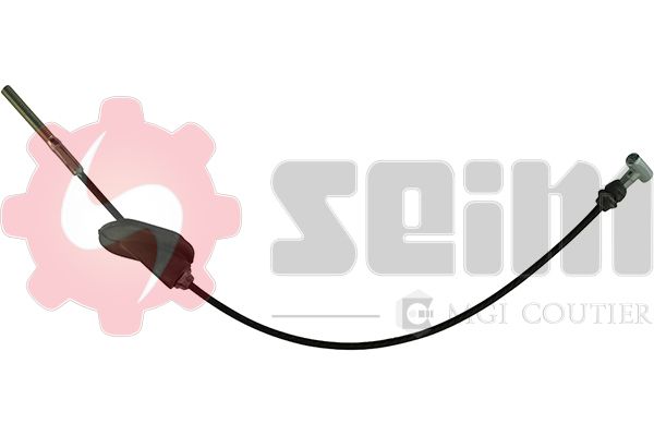 554461.JPG
