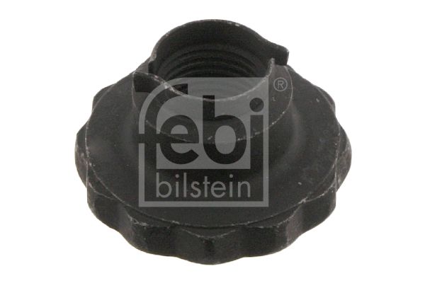 Гайка, цапфа осі, Febi Bilstein 32557