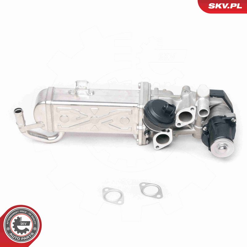 ESEN SKV 14SKV094 EGR Valve