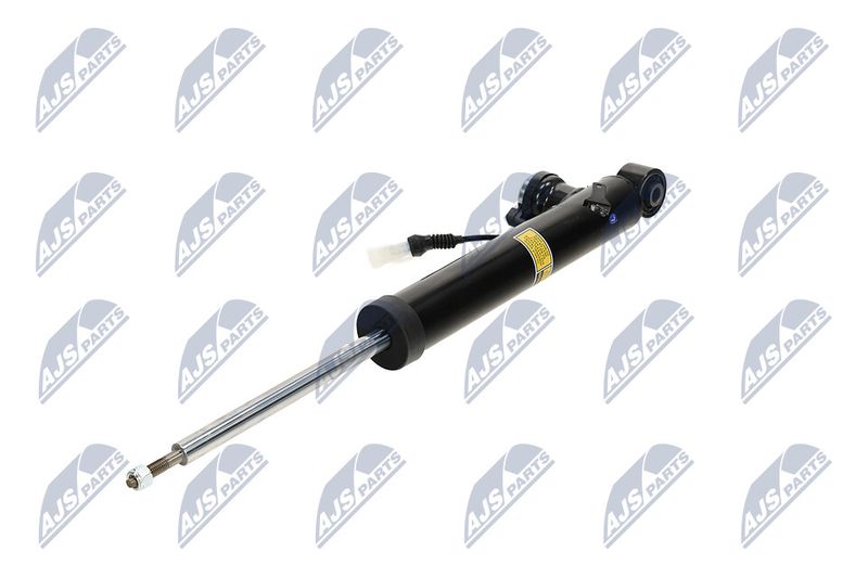 Amort, NTY A-PL-065