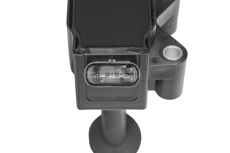 ZSE331_03.JPG