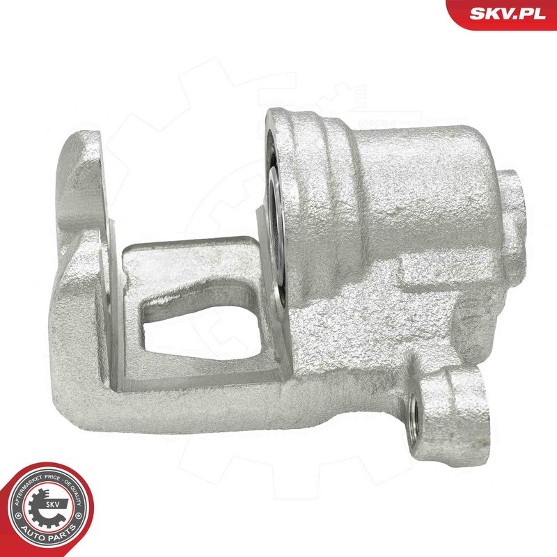 ESEN SKV 78SKV193 Brake Caliper