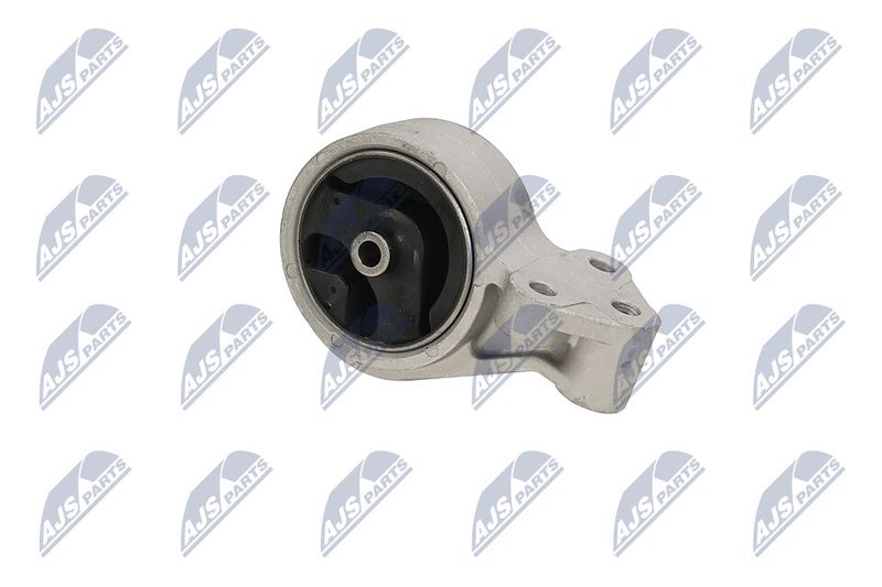 Paigutus, Mootor, NTY ZPS-MS-016