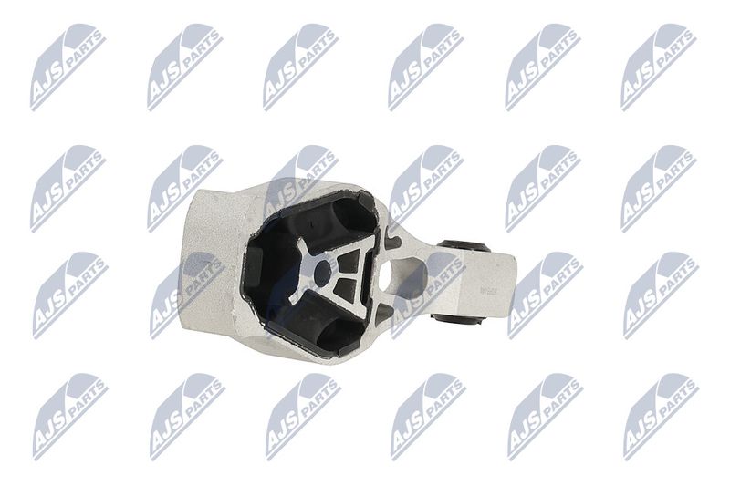 Paigutus, Mootor, NTY ZPS-PE-044