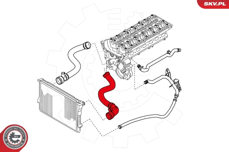 ESEN SKV 24SKV252 Radiator Hose