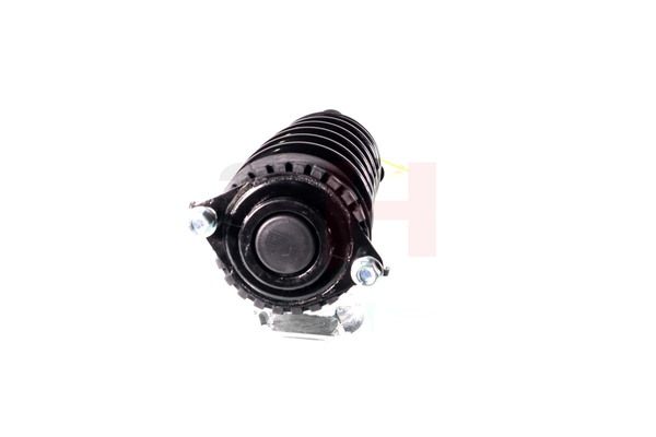 Vedruamort, GH GH-334401C01