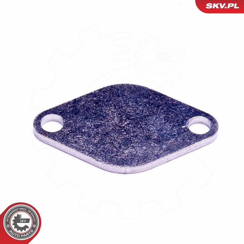 Remondikomplekt, EGR-klapp, ESEN SKV 14SKV541