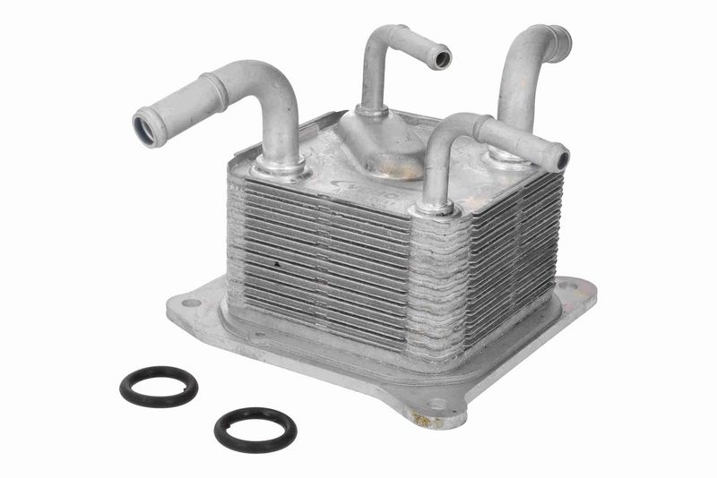 ACKOJA A38-60-0011 - Oil Cooler, automatic transmission