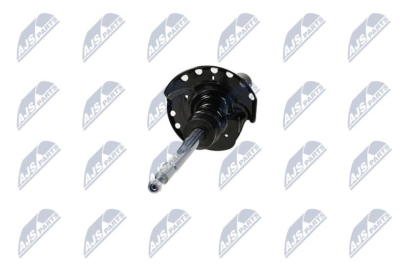Amort, NTY A-LR-033