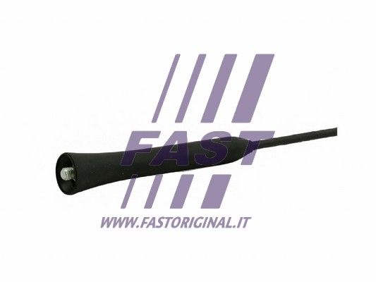 FT92504_2_1.JPG