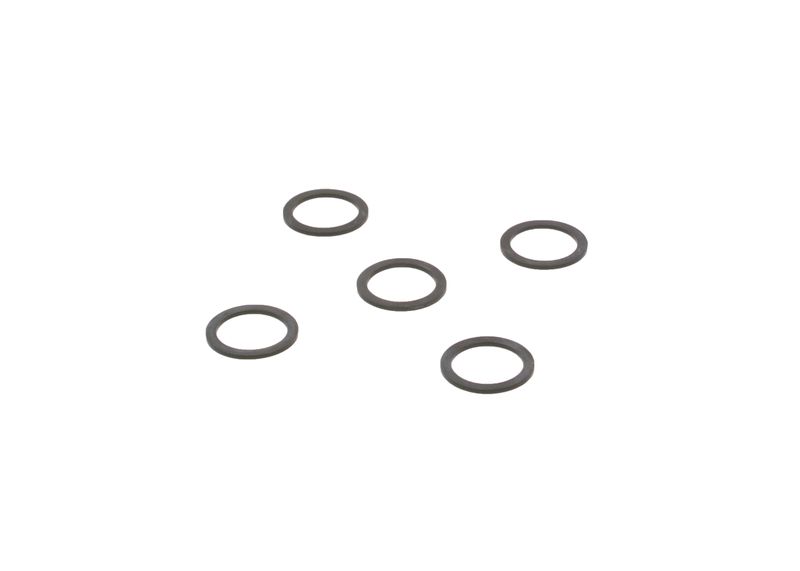 Garnitura 2 440 109 005 BOSCH