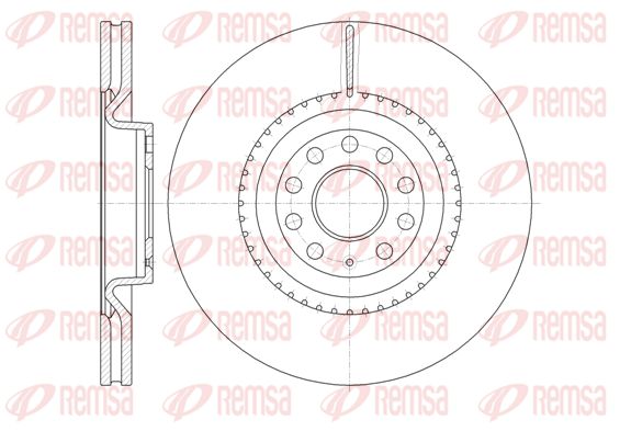 REM6791-10-MODEL.BMP
