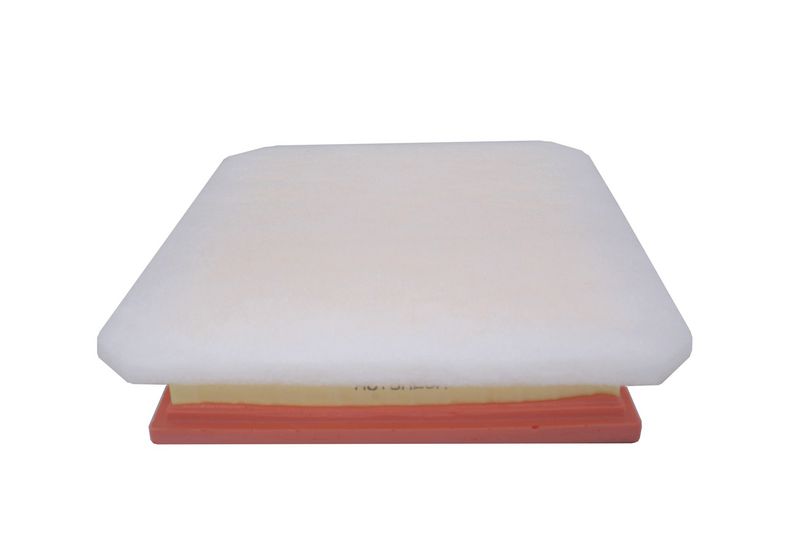 AUTOMEGA 180021110 Air Filter