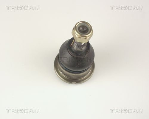 850025500.JPG