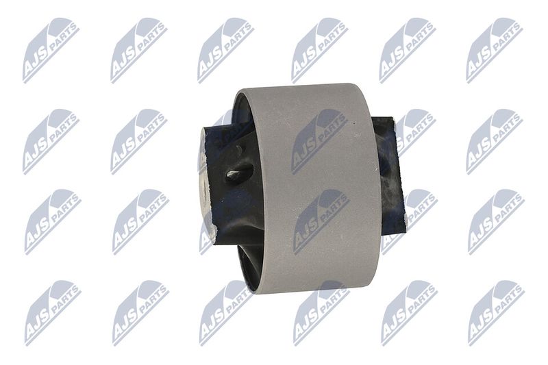 Paigutus, Mootor, NTY ZPS-CH-039