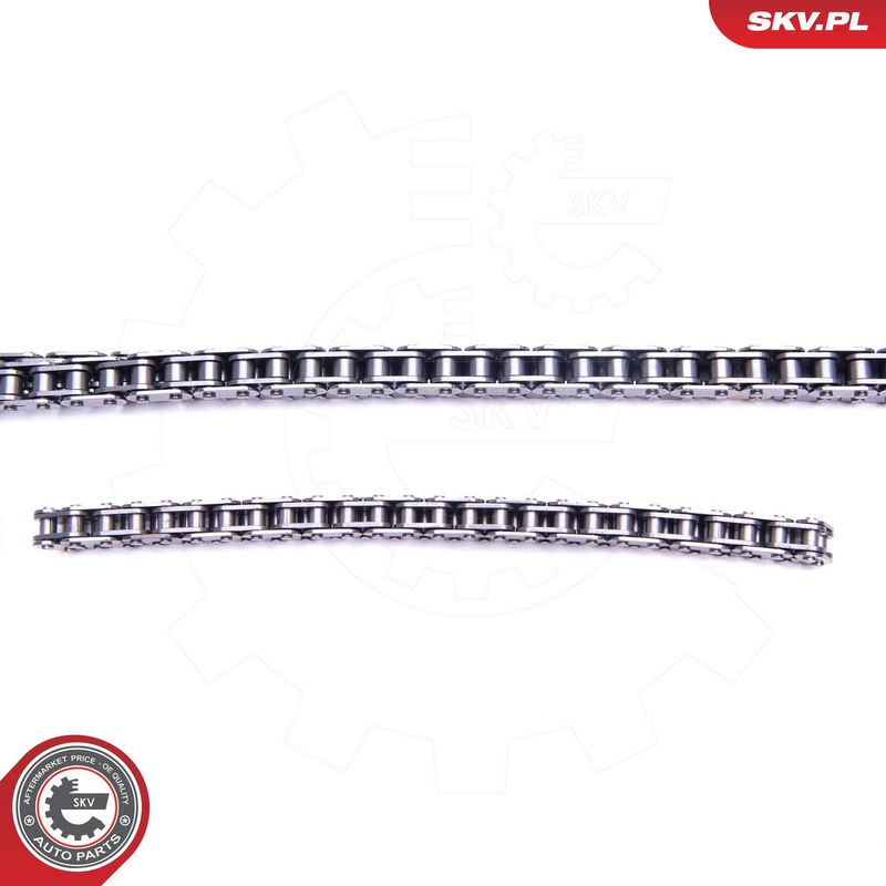 Mootori keti komplekt, ESEN SKV 21SKV198