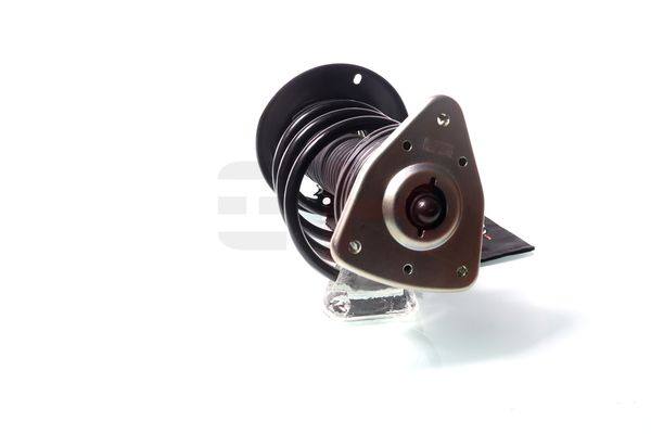 Vedruamort, GH GH-353713C01