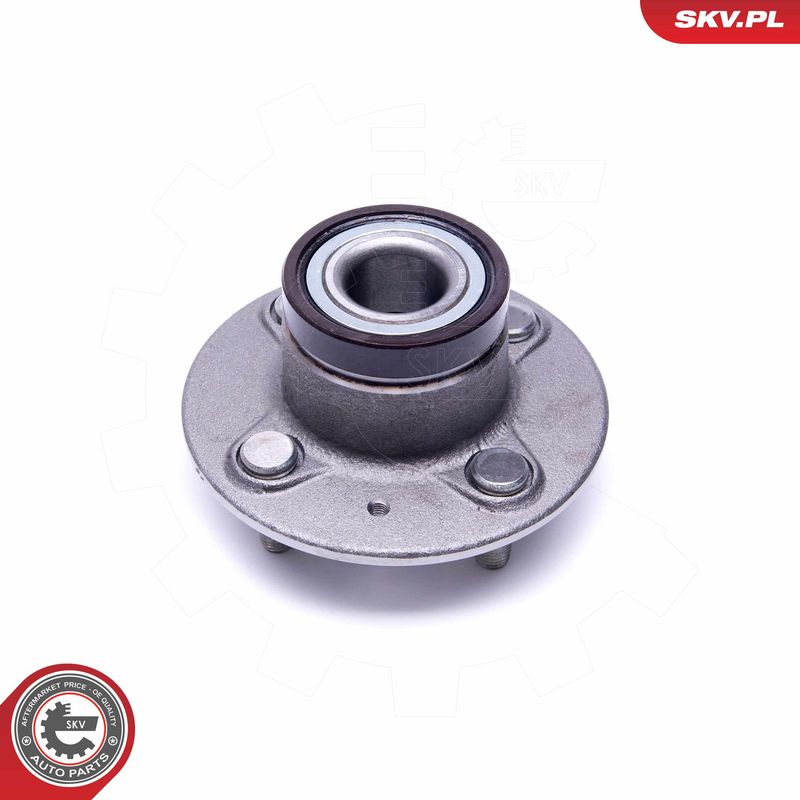 Rattalaagrikomplekt, ESEN...