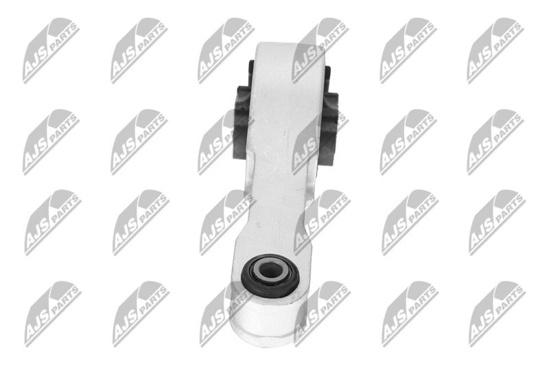 Paigutus, Mootor, NTY ZPS-CH-109