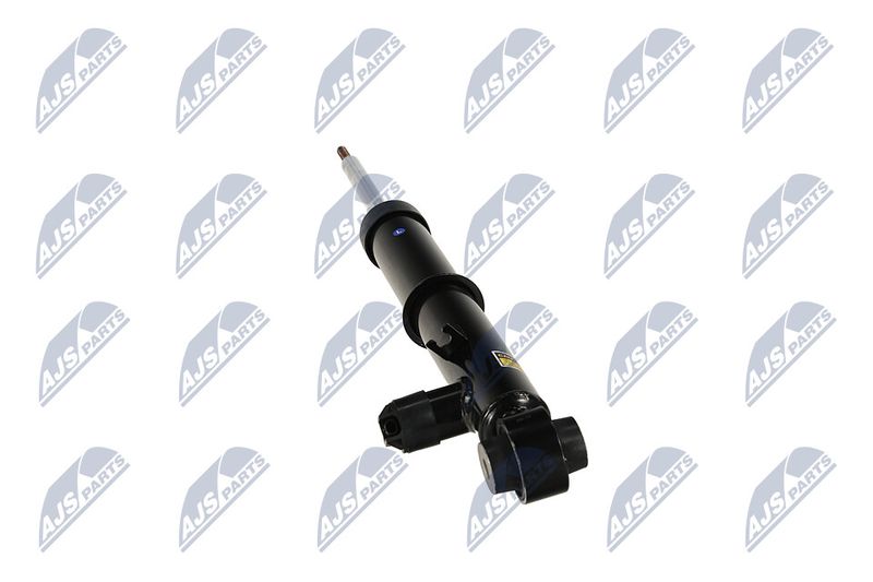 Amort, NTY A-LR-034