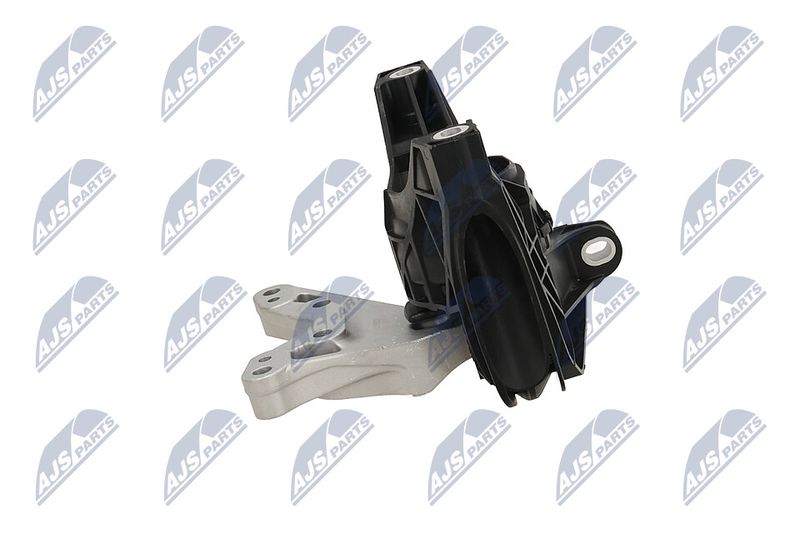 Paigutus, Mootor, NTY ZPS-PL-081